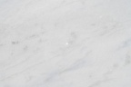 TESORO BIANCO 3CM LOT 3P539026CL 127X77